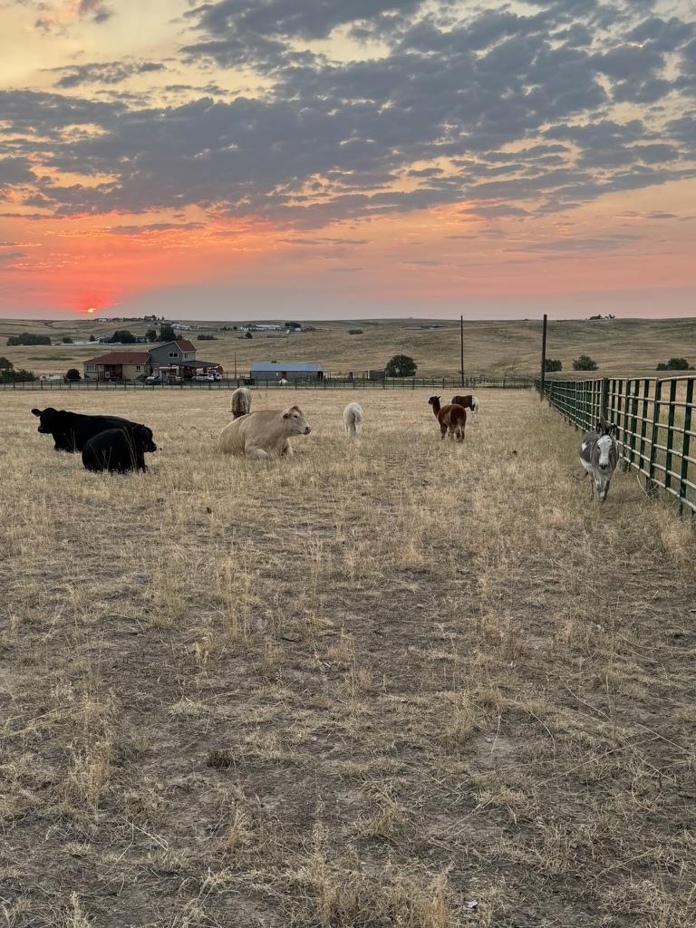 The whole team at sunset