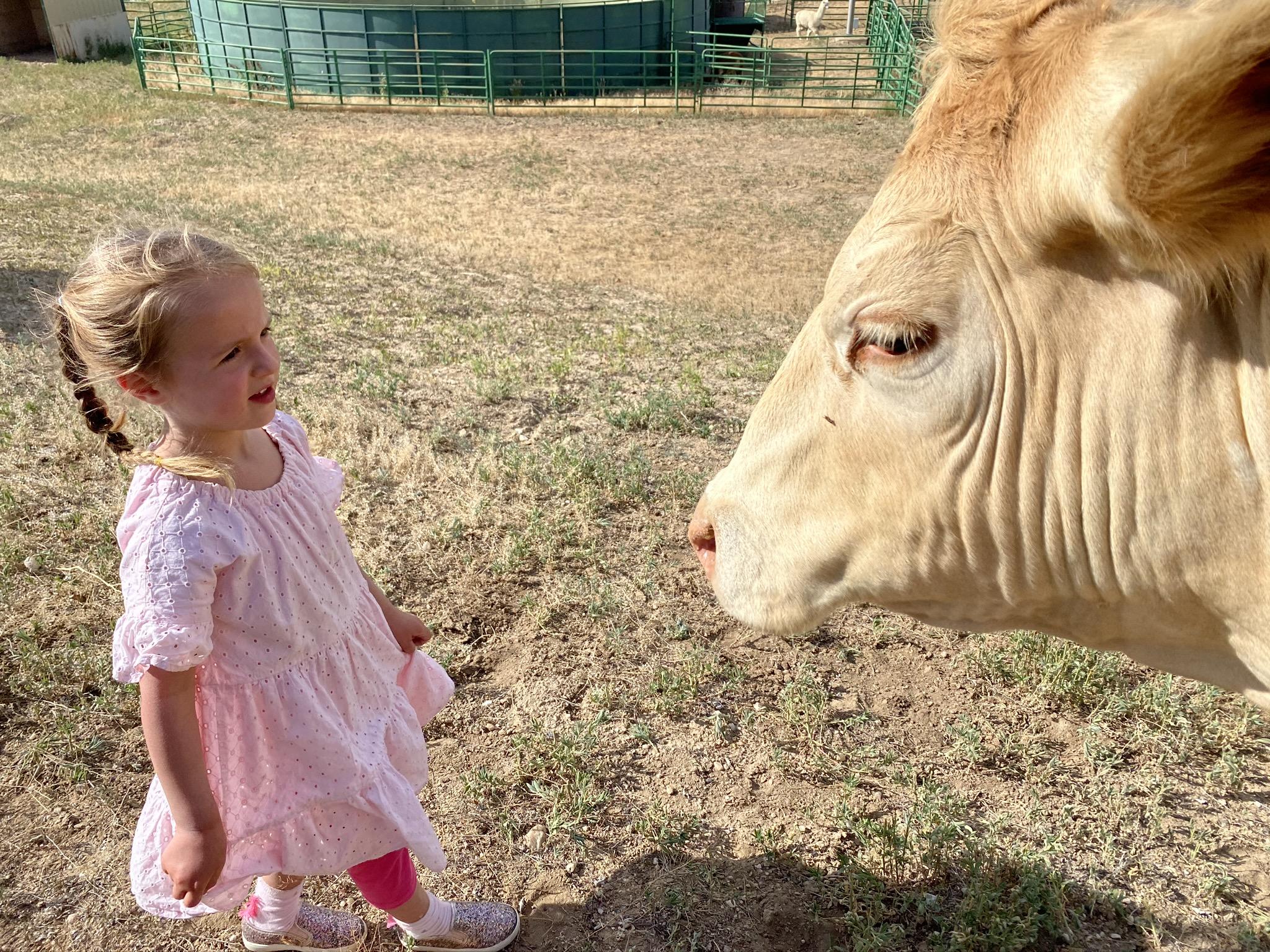 Little rancher meets big friend